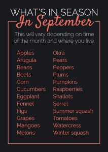 enhanced-27488-1440861829-7