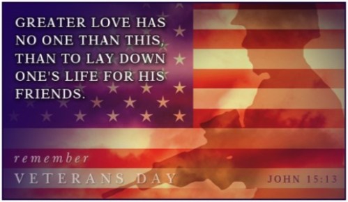 15955-veterans-day-soldier-flag