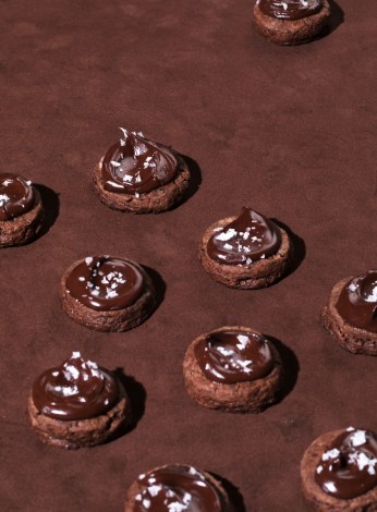 chocolate-malt-biscuit-cookies-angle