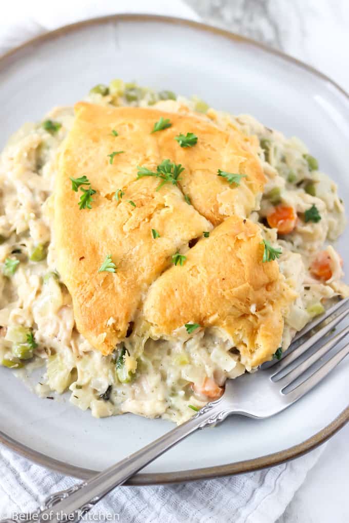 easy-chicken-pot-pie-crescent-roll-crust-6